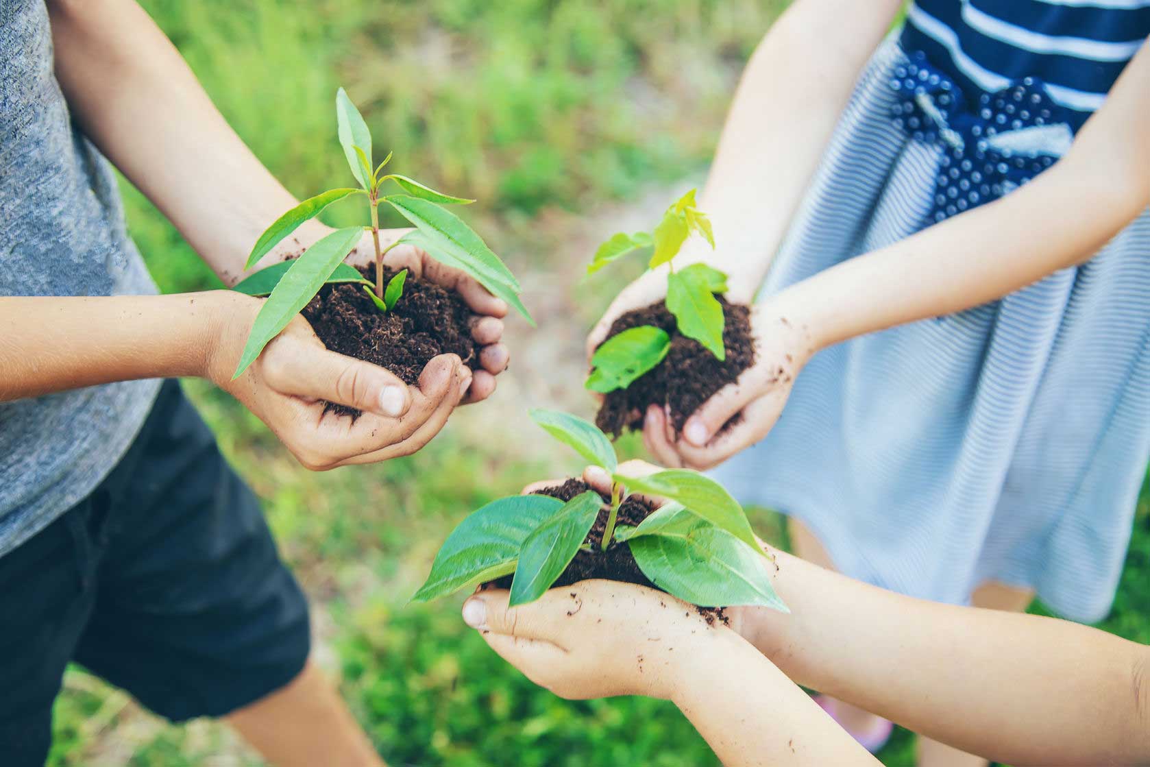 Mengenal Sustainable Living dan Penerapannya di Era Modern